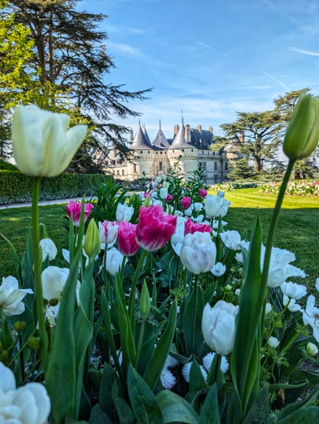 Guía 5 Castillos del Valle del Loira con excursiones Muy Top Europa