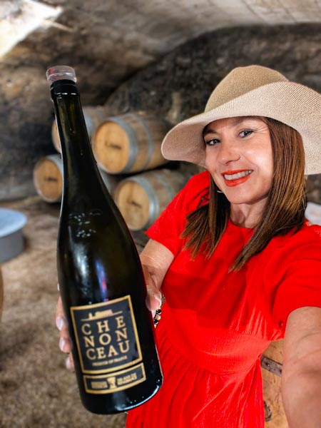 Guía 5 Castillos del Valle del Loira con excursiones Muy Top Europa