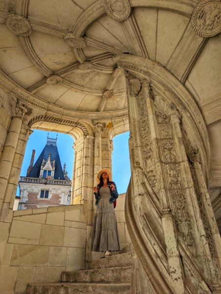 Guía 5 Castillos del Valle del Loira con excursiones Muy Top Europa