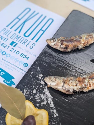 Camping TAIGA Almería Playa, un paraíso para tus vacaciones Almería