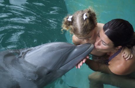 Delfines y besos en aguas jamaicanas América