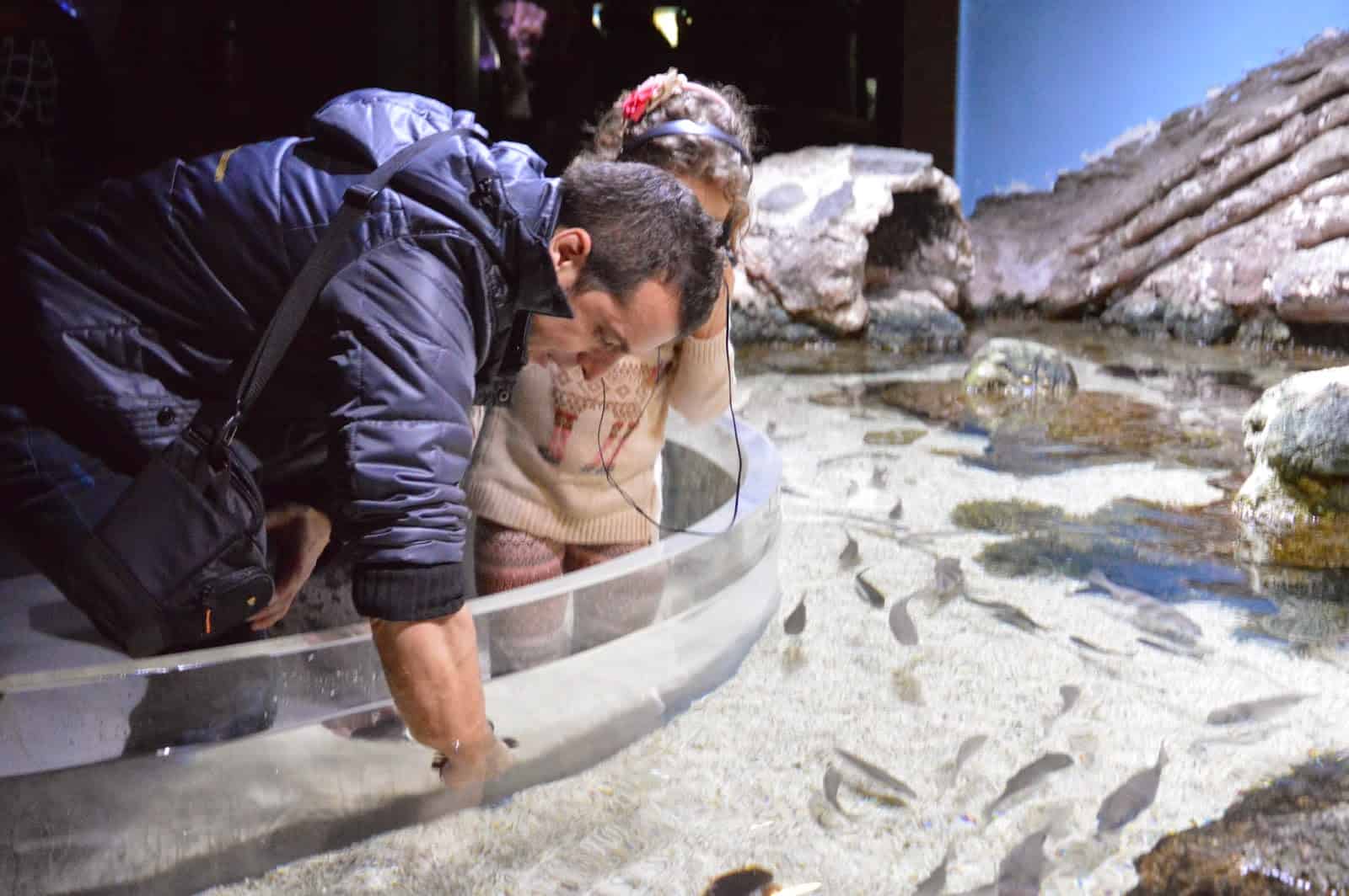 Dormir entre peces en el Aquarium de Donosti y muchas mas actividades para los niños España
