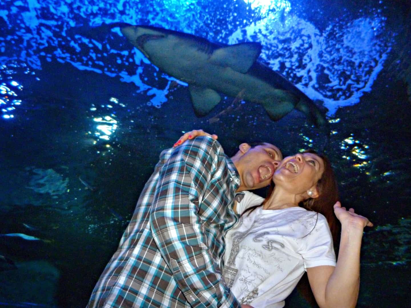 Nadando con tiburones en el Aquarium de San Sebastián. Diversión con niños España