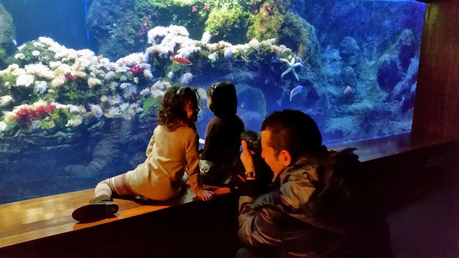 Dormir entre peces en el Aquarium de Donosti y muchas mas actividades para los niños España