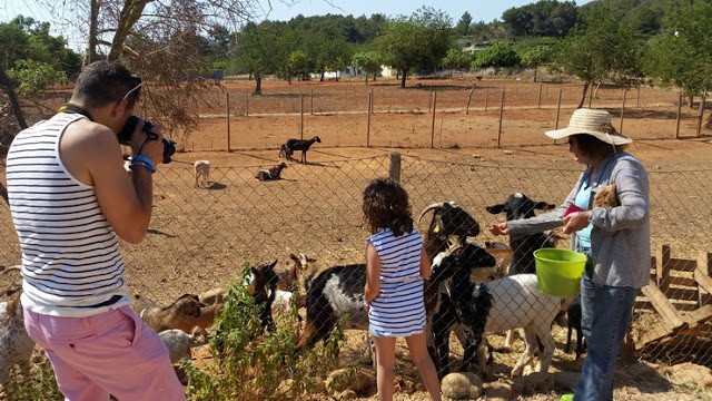 Planes con los niños en Ibiza; Granja y finca ecológica Can Muson España