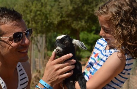 Planes con los niños en Ibiza; Granja y finca ecológica Can Muson España