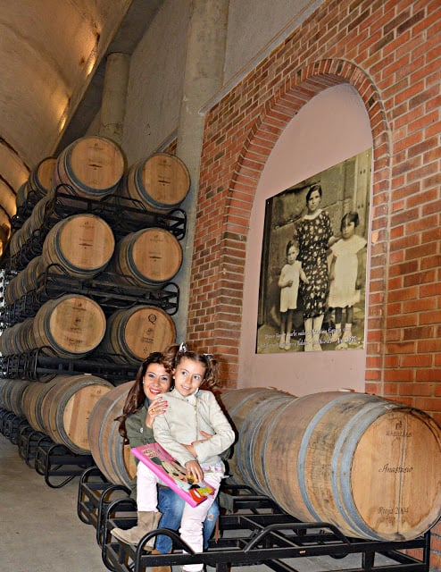 Vendimia en familia con Eguren Ugarte en Rioja Alavesa España