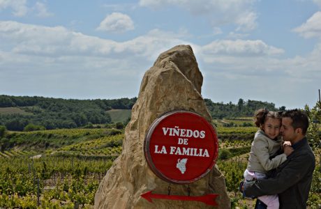 Vendimia en familia con Eguren Ugarte en Rioja Alavesa España