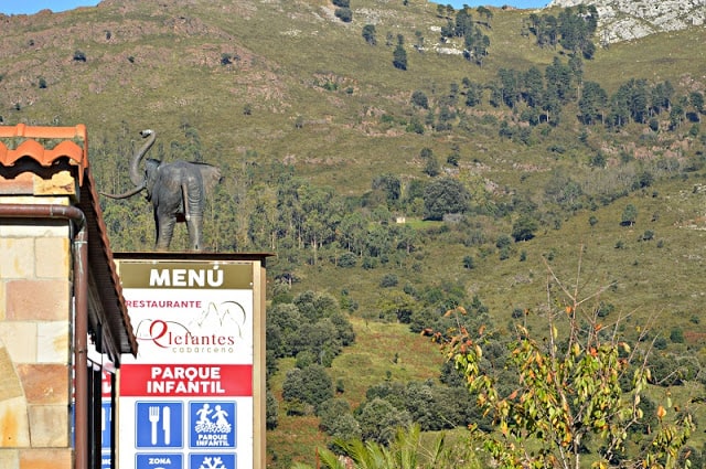 Restaurante los Elefantes en Cabárceno. ¡Genial para las familias! Cantabria
