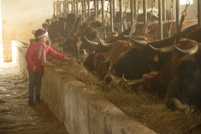 Un increíble agroturismo en Cantabria para ir con los niños Cantabria