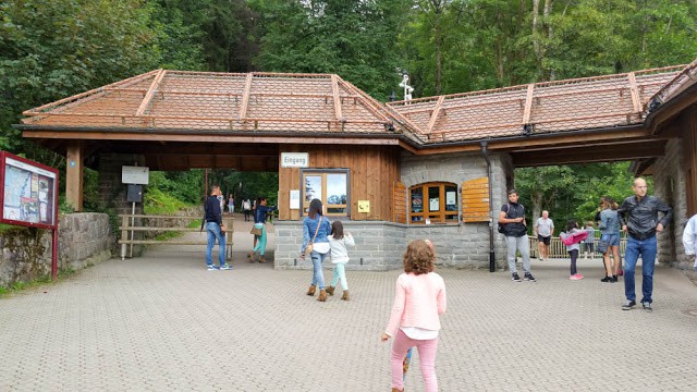 Tres imprescindibles si viajas con tus hijos a Triberg. Selva Negra Alemania