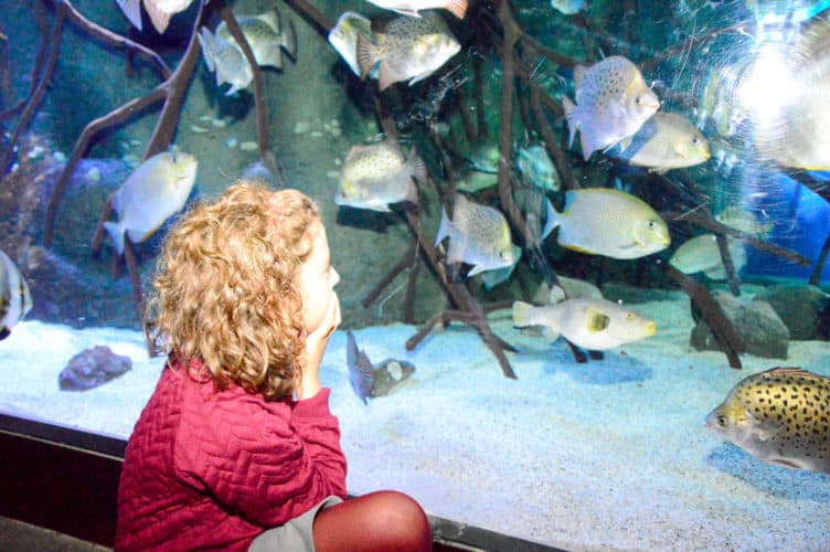 aquarium-de-donosti-con-los-niños-viajar-con-niños