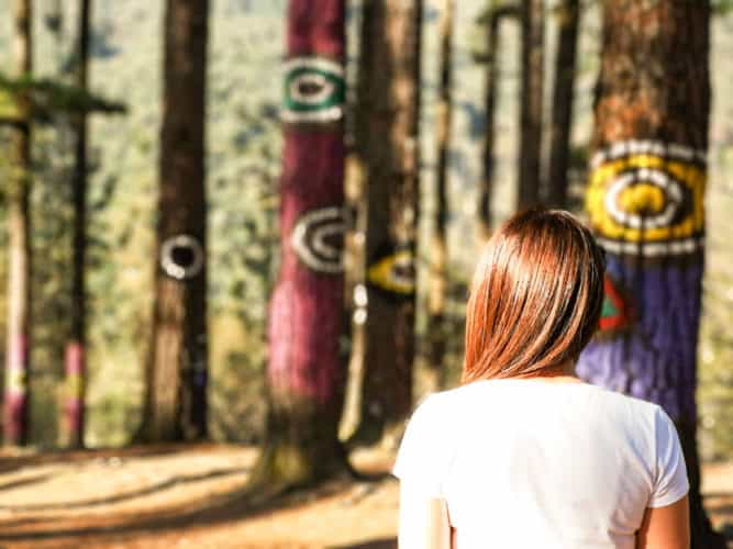 Viajandoconmammi-Viajar-con-niños-Vacaciones-familia-Bosque-de-Oma-Bizkaia