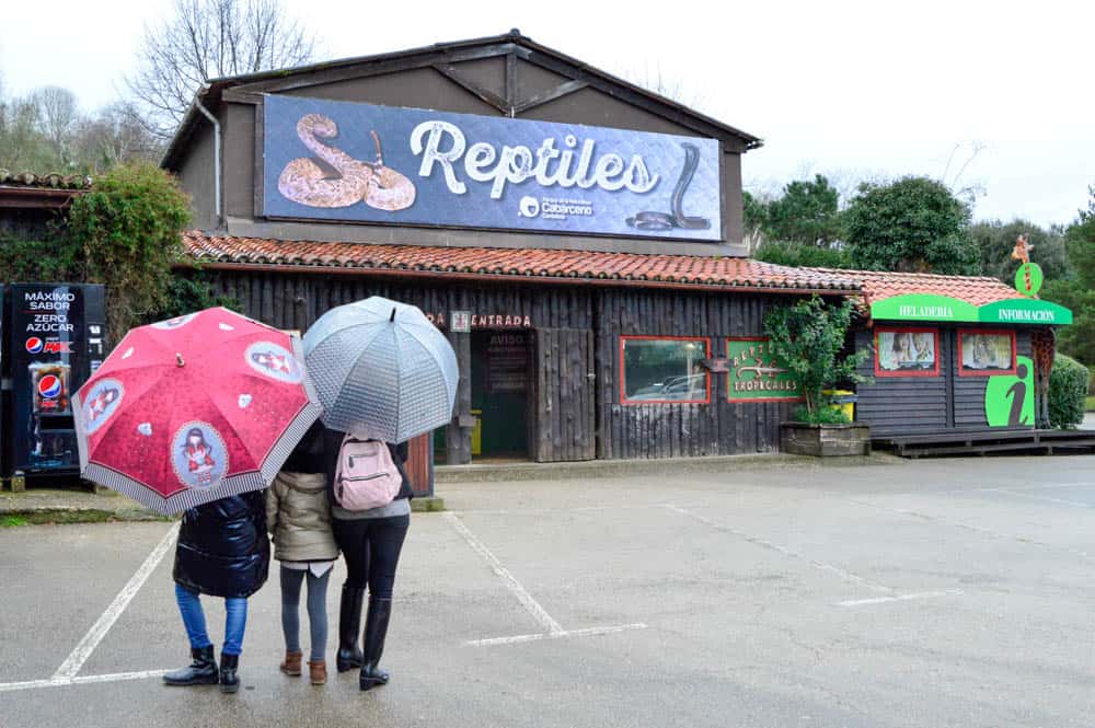 Reptiles en Parque de Cabárceno en Cantabria