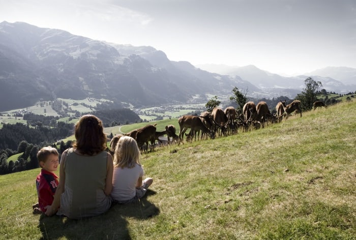 Vacaciones en una granja del Tirol. Austria en familia Austria