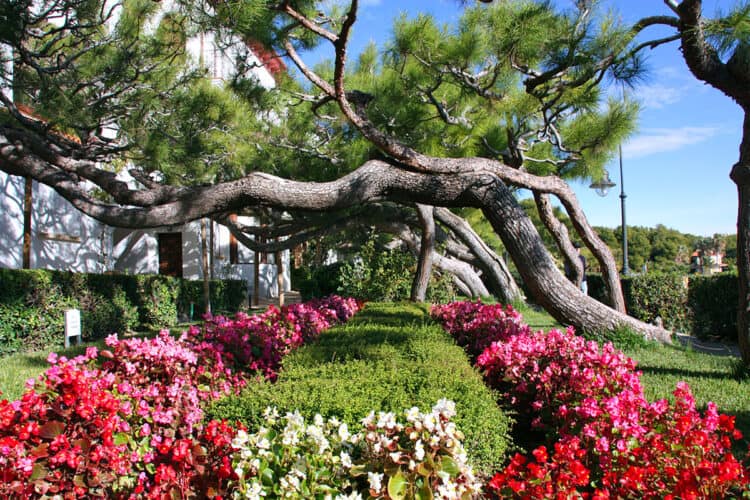 Roc de Sant Gaietà, una de las grandes sorpresas de Tarragona