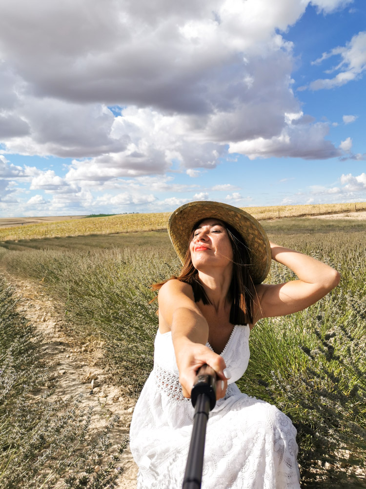 Experiencias desde Madrid con el Tren del Vino de Valladolid | Viajando ...