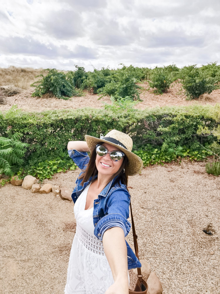 Experiencias desde Madrid con el Tren del Vino de Valladolid | Viajando ...