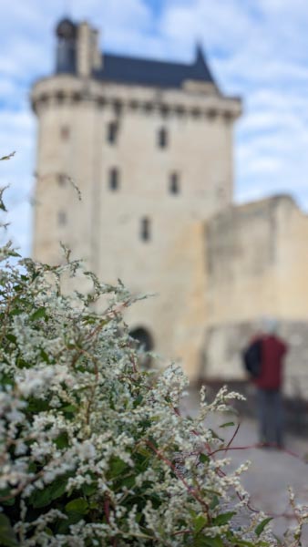 ¿Te imaginas descubrir Los Castillos de Loira en bicicleta? Europa