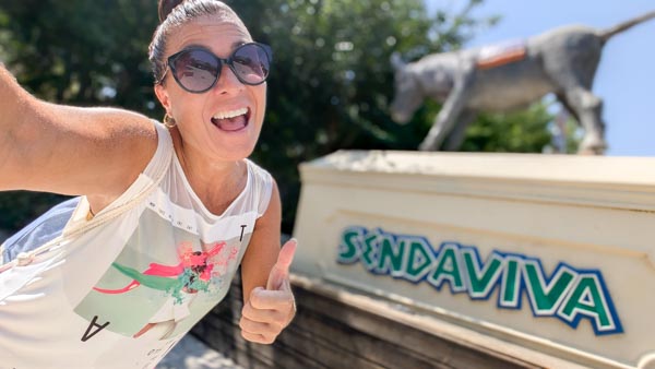 Sendaviva