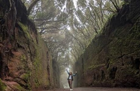 Qué ver en el norte de Tenerife. Los 9 imprescindibles Europa